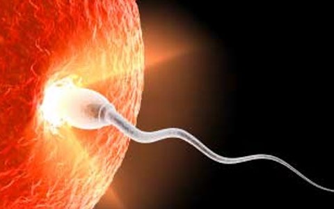 The baby was born from the oldest frozen sperm in the world