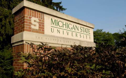 MSU researcher to study effect of hormones on ovulation and reproduction in cows
