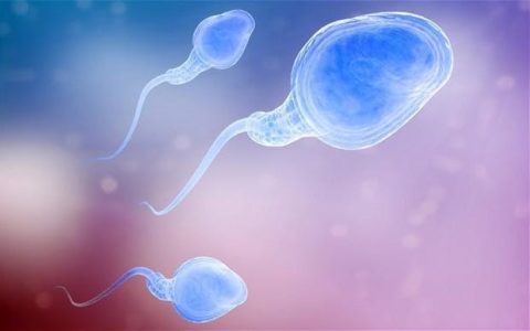 How to increase sperm count