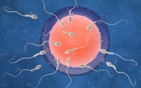 Toddlers born via IVF are MORE developed than naturally-conceived youngsters as their parents may be more attentive during their early years