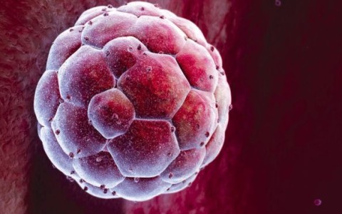 Scientists get ‘gene editing’ go-ahead